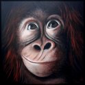 Orang-Utan 1